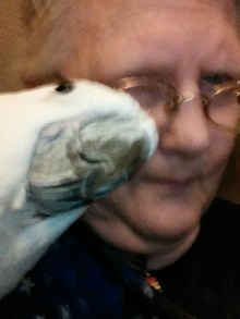 wpid-wp-1416504578232.jpeg image