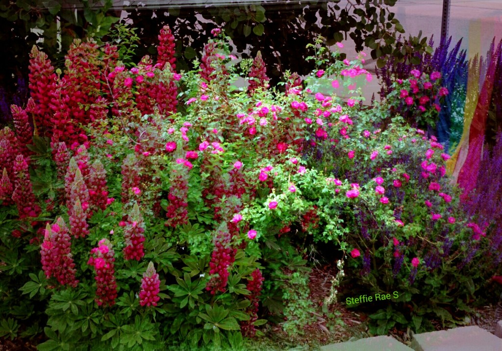 An Old Love With New&nbsp;Possibilities