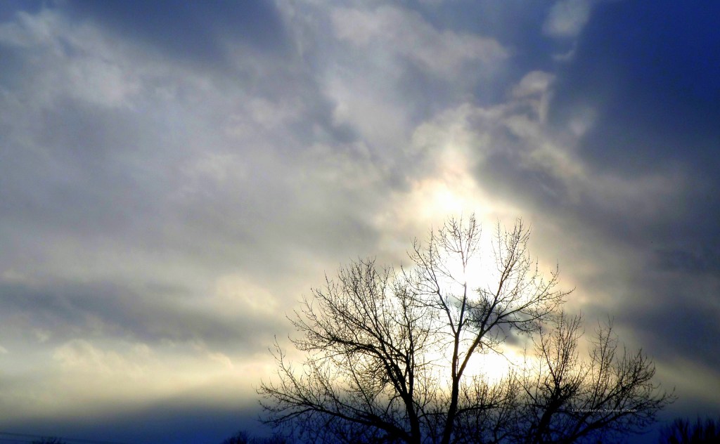 I Wear Shades To Take These&nbsp;Images